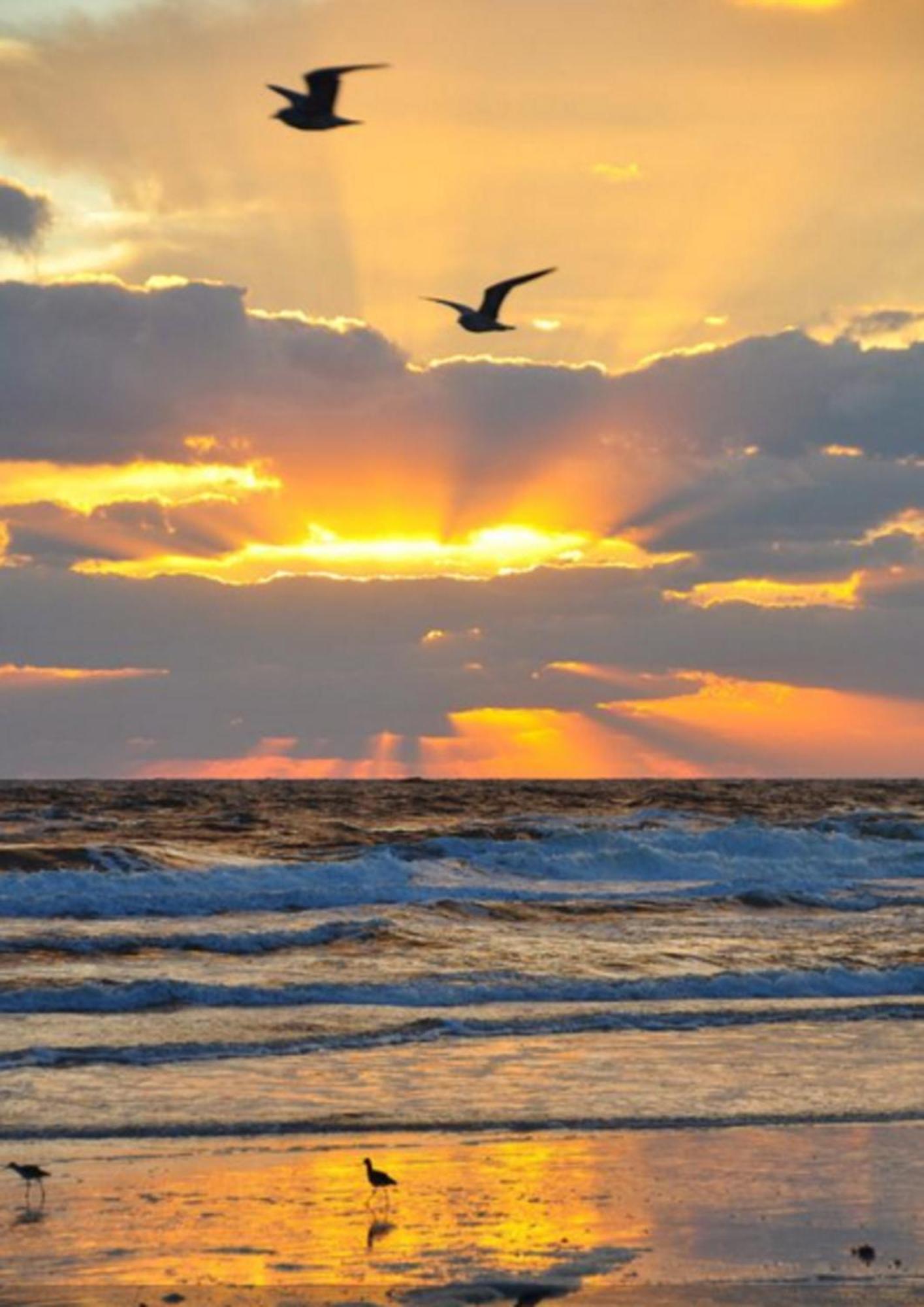 Place Seconds To 23 Aparthotel Panama City Beach